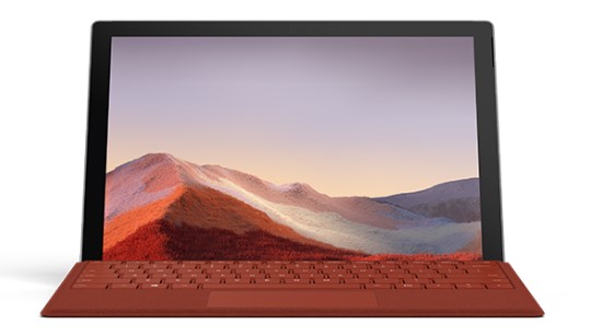 靖宇清洁和维护 Surface